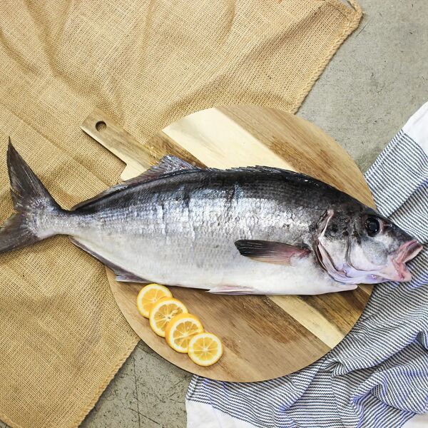Whole Moki (2KG)